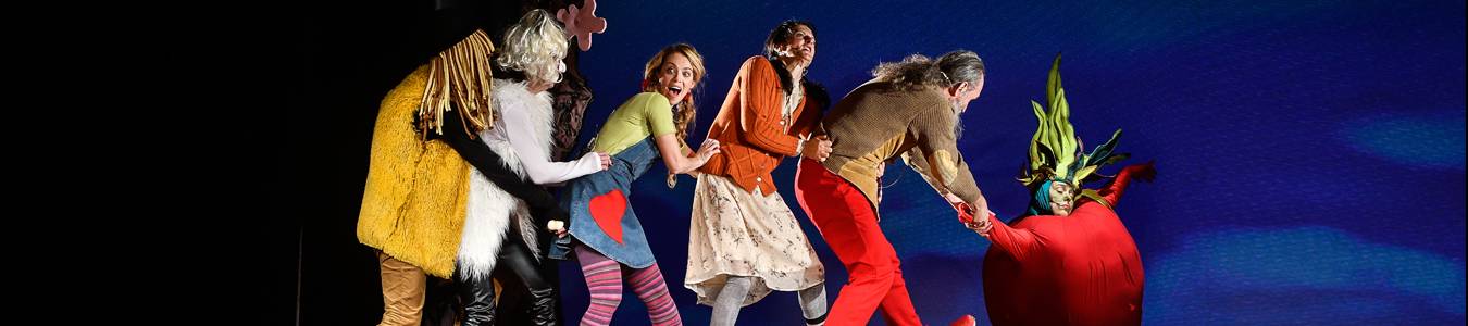 DAS RIESENRADIESCHEN