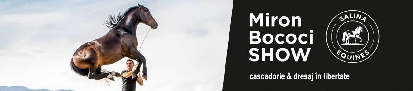 Show cascadorie, dresaj in libertate, volteo. Artist: MIRON BOCOCI