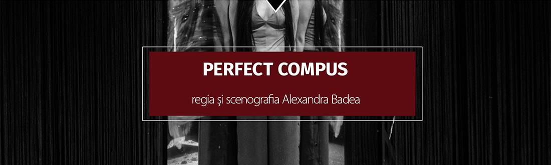 Perfect compus