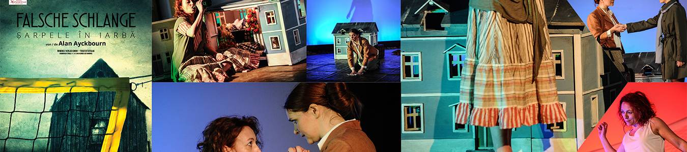 SARPELE IN IARBA / FALSCHE SCHLANGE