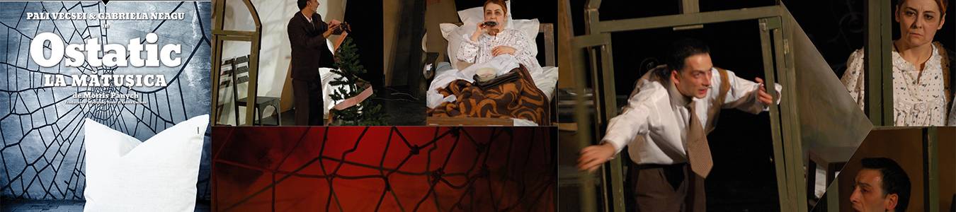 Ostatic la matusica @TNRS - Sala Mare