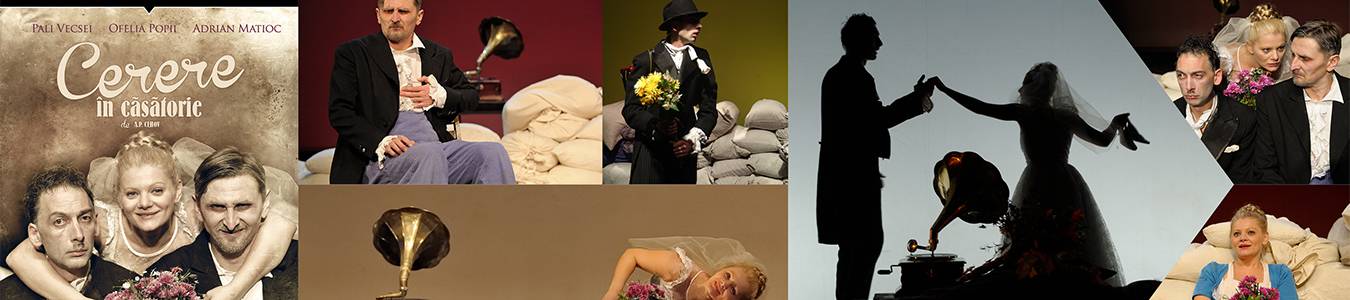 Cerere in casatorie@TNRS - Scena Digitala