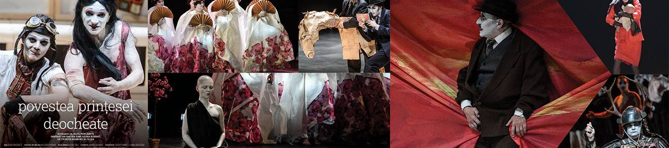 THE SCARLET PRINCESS / POVESTEA PRINTESEI DEOCHEATE - English surtitles