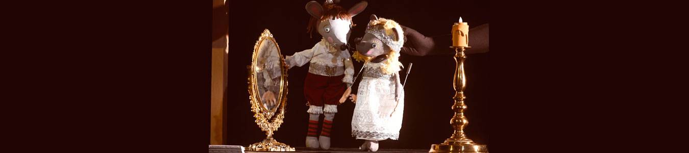 PREMIERA / CENUSAREASA – DOAR O POVESTE?