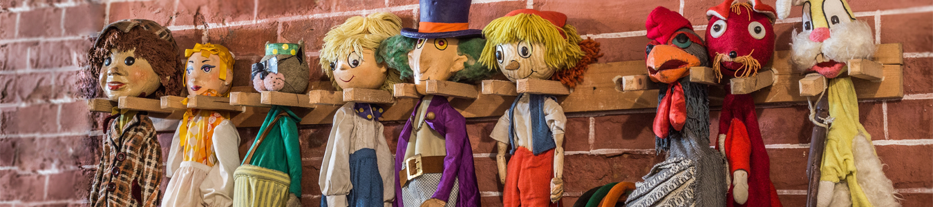 LUMEA MAGICA A TEATRULUI DE PAPUSI 