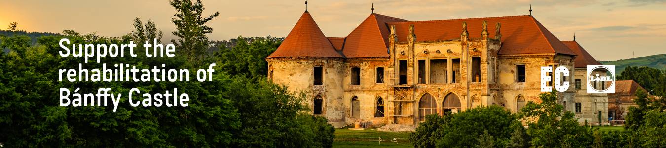 Support Banffy Castle