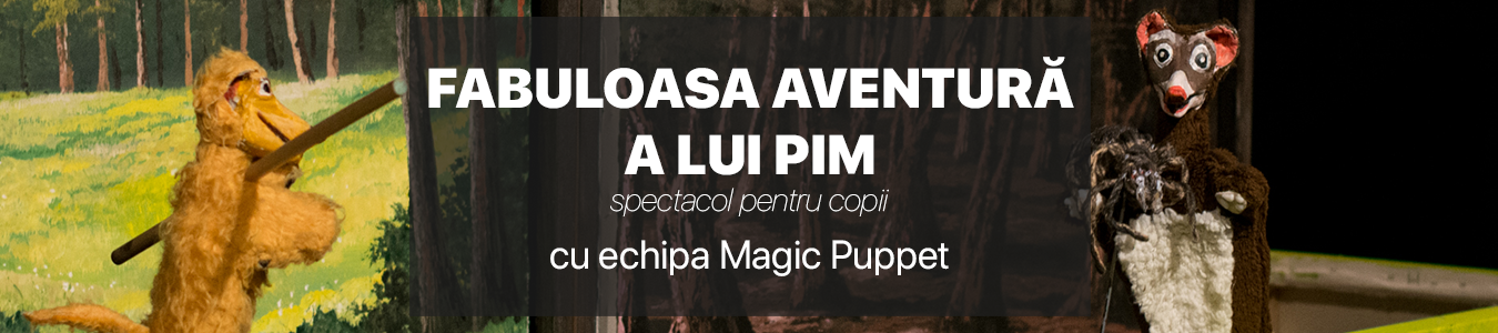 FABULOASA AVENTURA A LUI PIM