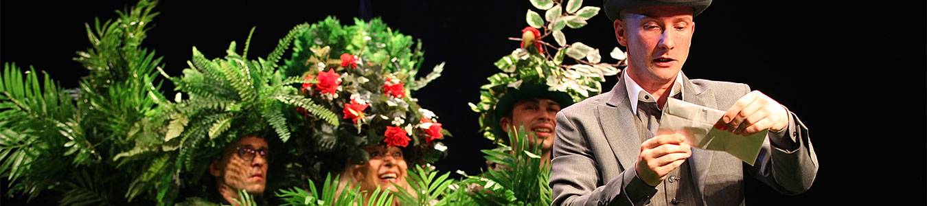 A douasprezecea noapte - Teatrul Metropolis