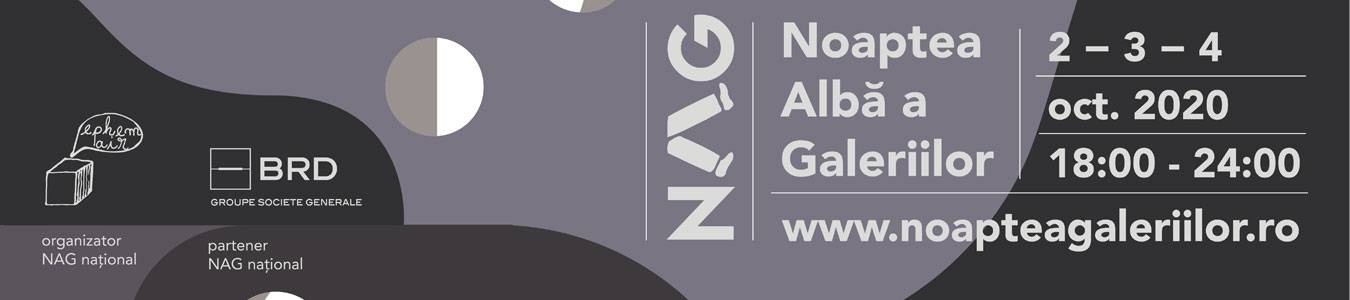 Noaptea Alba a Galeriilor