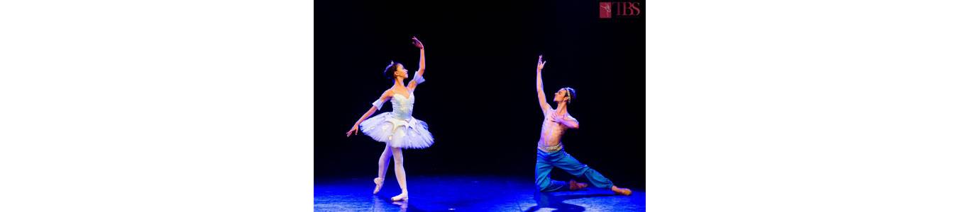Gala de Balet 