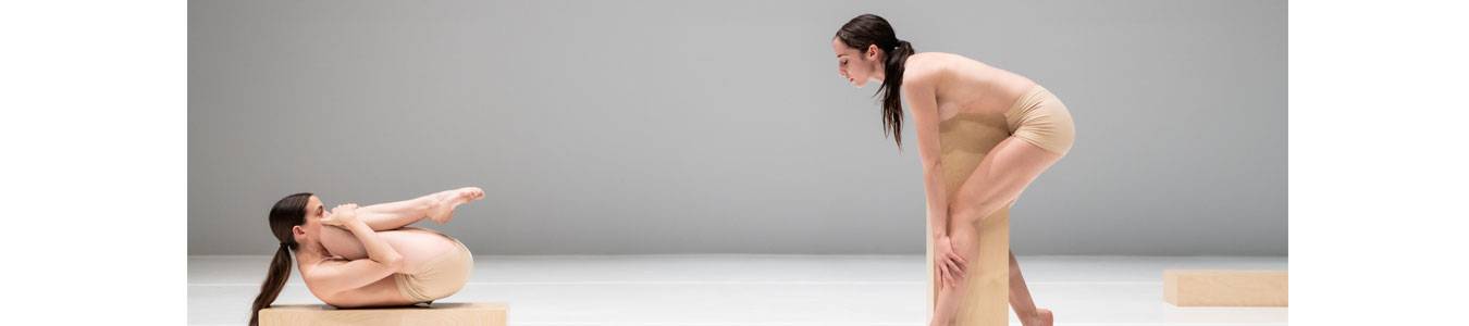 Gradina sculpturilor efemere / The Garden of the Ephemeral Sculptures - ONLINE