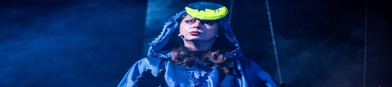 CASTELUL ZANEI NOPTII