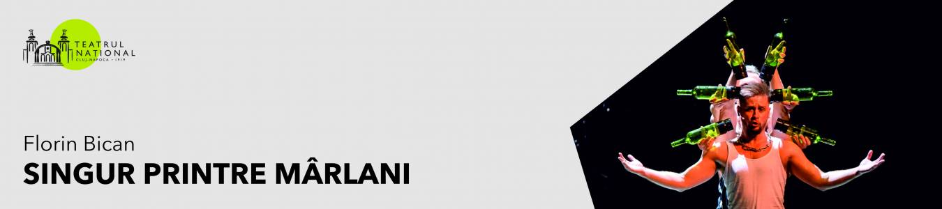 SINGUR PRINTRE MARLANI