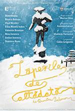 Zăpezile de altădată