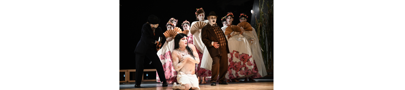 POVESTEA PRINTESEI DEOCHEATE / THE SCARLET PRINCESS 