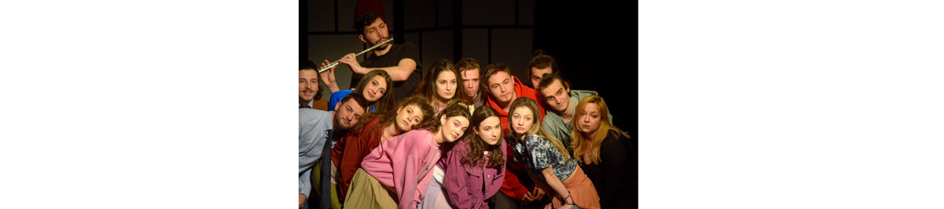 MUSCA, PAIE SI BATAIE / FLIES AND FIGHTS  