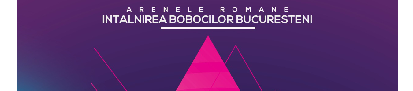 INTALNIREA BOBOCILOR BUCURESTENI