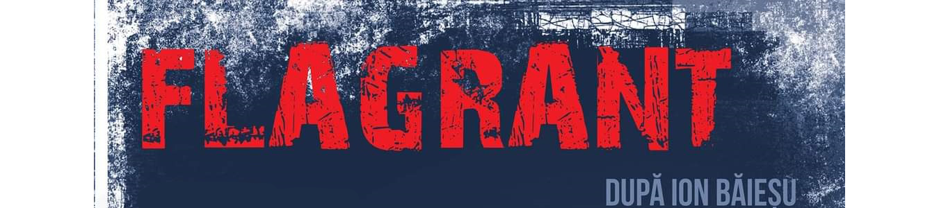 Flagrant dupa Ion Baiesu