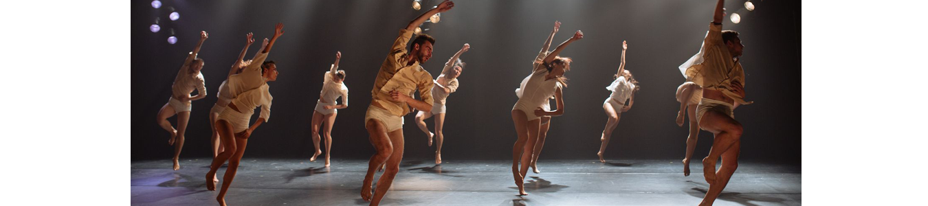 Caii cerului@TNRS - Scena Digitala