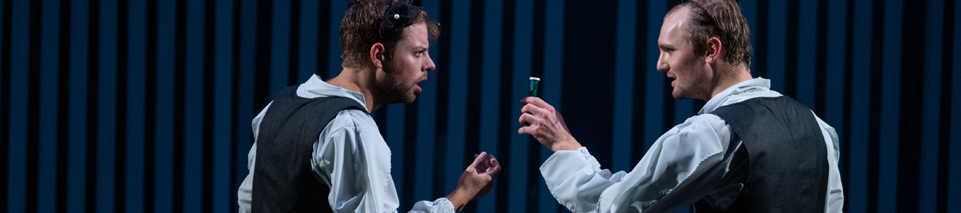 Cameristele@TNRS - Scena Digitala