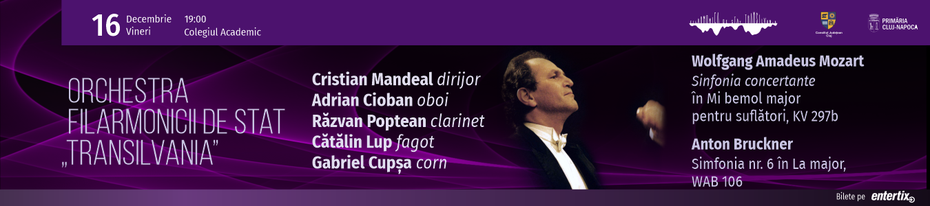 Concert simfonic - Abonament 9
