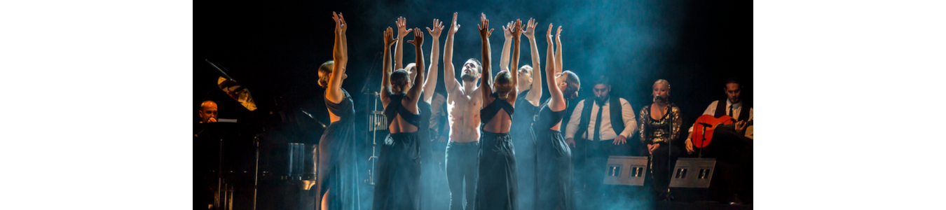 Flacara noptii @TNRS - Scena Digitala