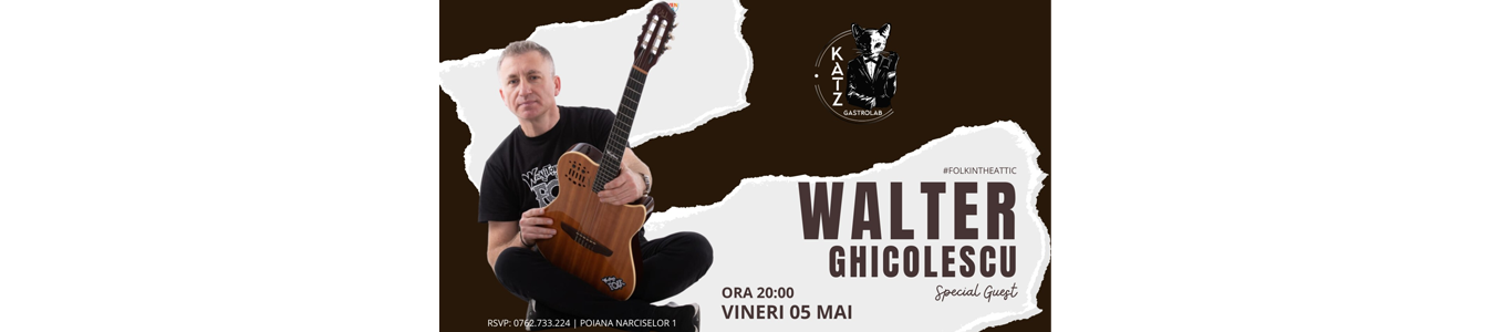Walter Ghicolescu #folkintheattic
