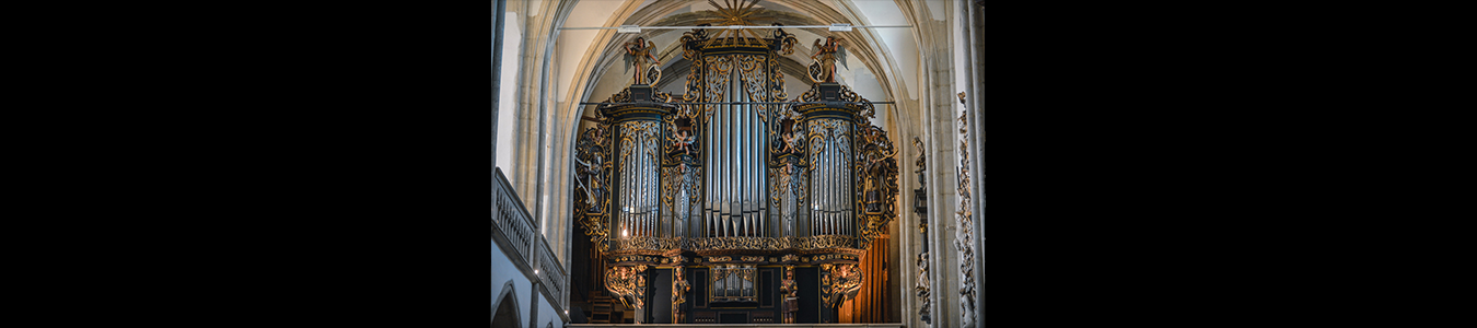 O CATEDRALA PLINA CU ORGI / A CATHEDRAL FULL OF ORGANS- ONLINE - INREGISTRAT 