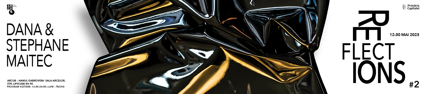 Expozitia „REFLECTIONS #2”  la ARCUB