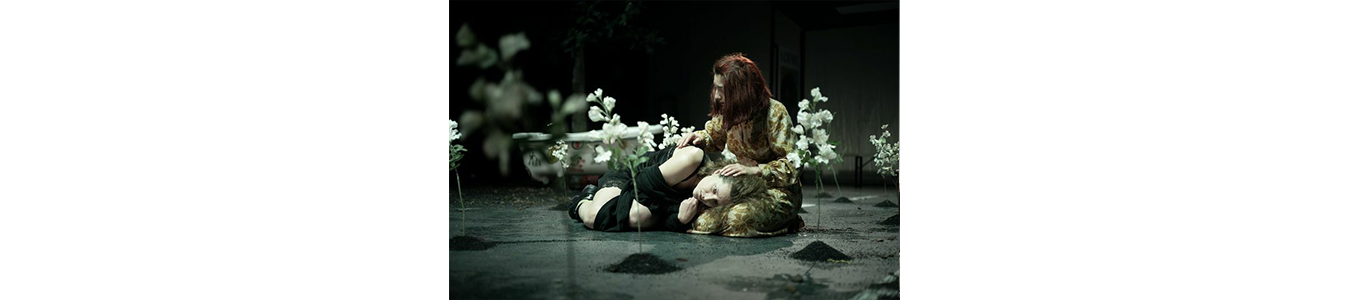 De cealalta parte a lumii  @TNRS - Scena Digitala