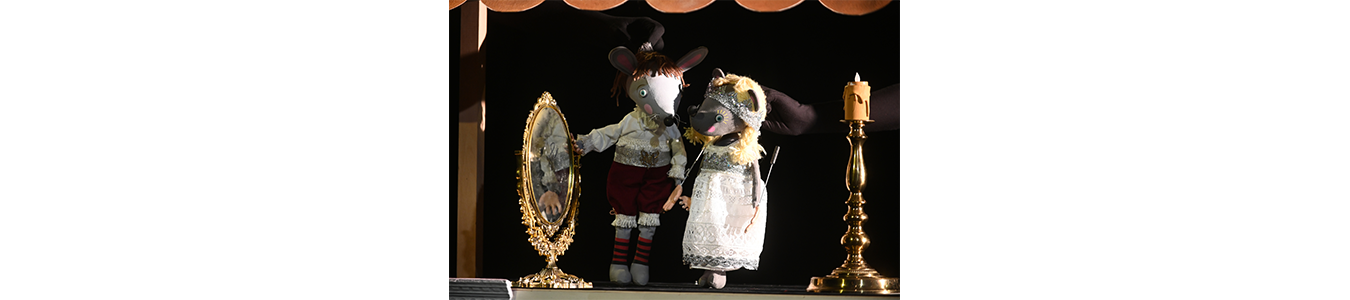 Aschenputtel – nur ein Märchen? / Cenusareasa - doar o poveste? / Cinderella - Just a story ?