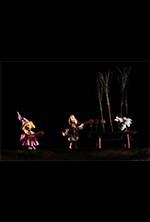 Aventurile unei vrăjitoare