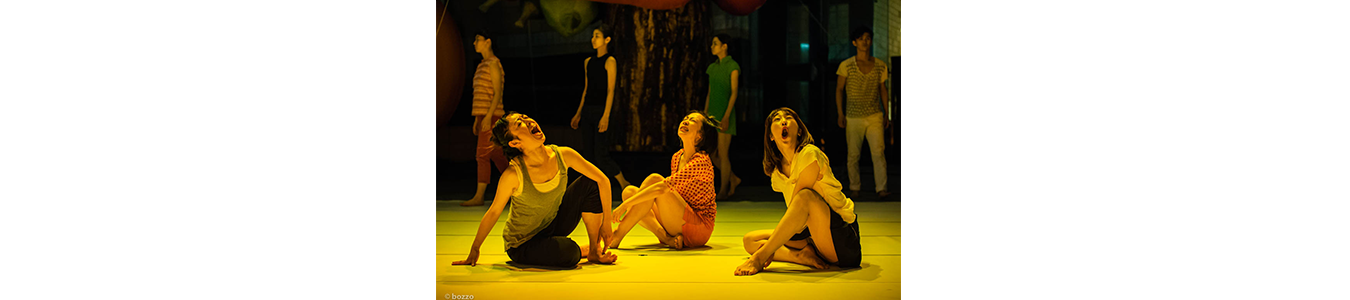 ACUMULARI / ACCUMULATIONS - ONLINE - IN DIRECT