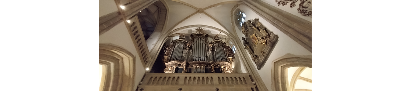 CONCERT DE ORGA / ORGAN CONCERT