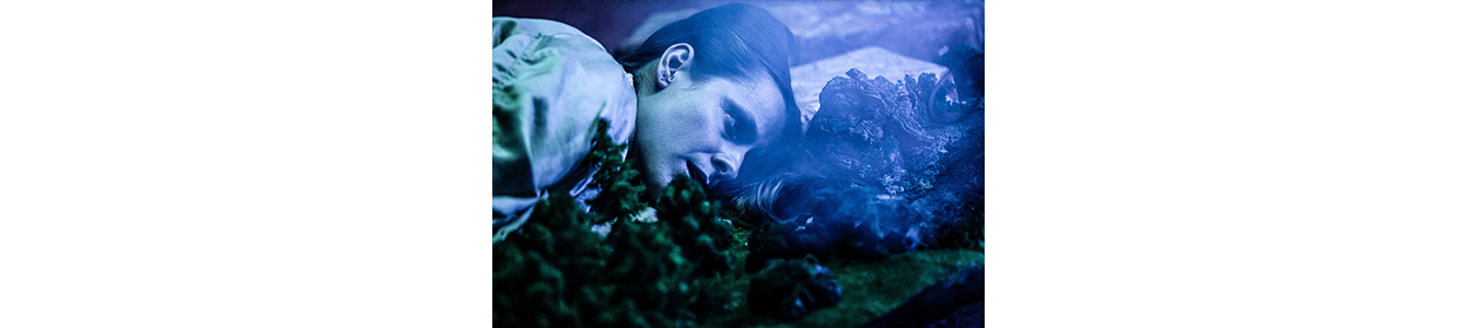 ANGAJATII / THE EMPLOYEES