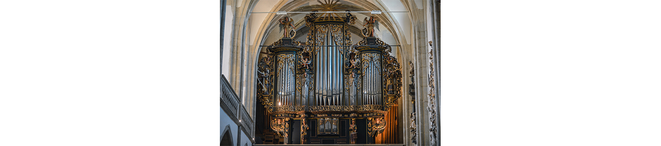 MUZICA DE SEARA/ EVENING MUSIC