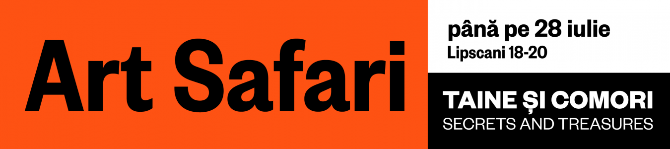 Art Safari Editia Taine si Comori 