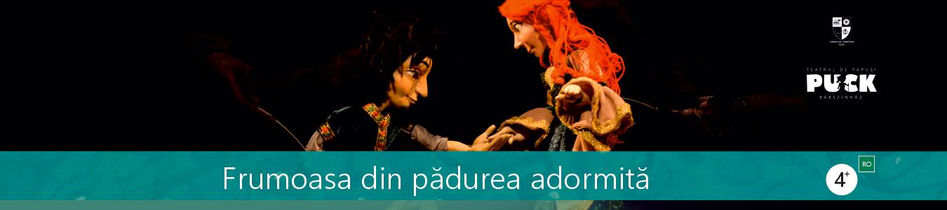 Frumoasa din padurea adormita 