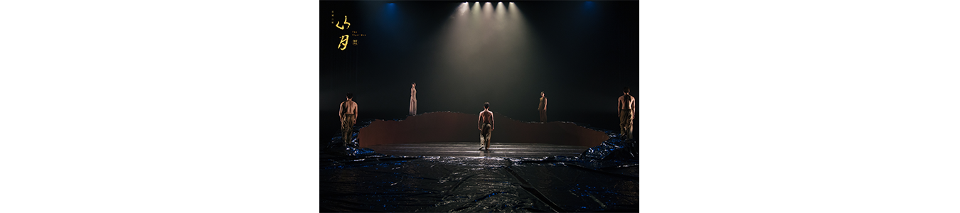 Reguli de supravietuire: omul tigru  @TNRS - Scena Digitala