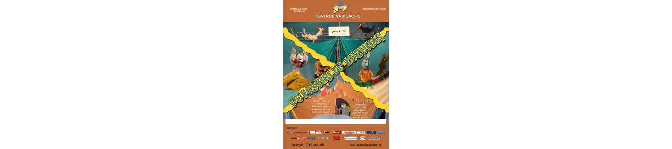 Povestiri de buzunar