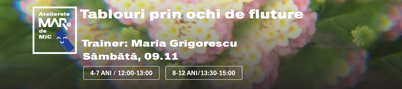 Atelier Tablouri prin ochi de fluture, grupa 8-12 ani, trainer Maria Grigorescu