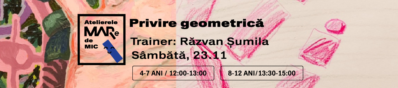 Atelier Privire geometrica, grupa 4-7 ani, trainer Razvan Sumila
