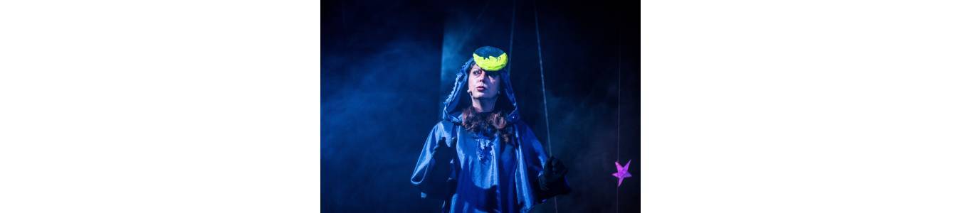 DAS SCHLOSS DER NACHTFEE