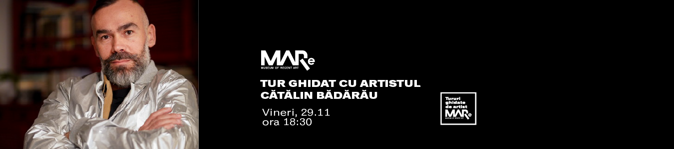 Tur ghidat cu artistul Catalin Badarau