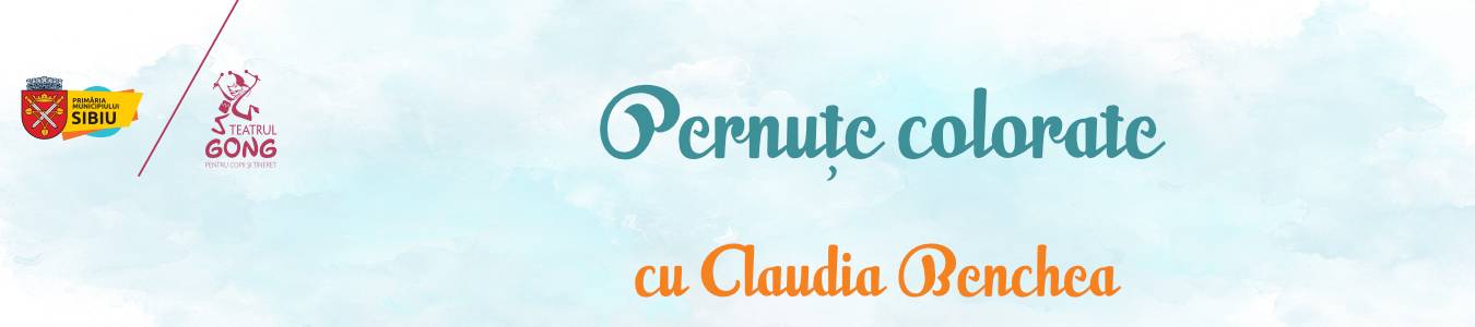 Atelierul de Creatie „Piticii priceputi” - Pernute colorate
