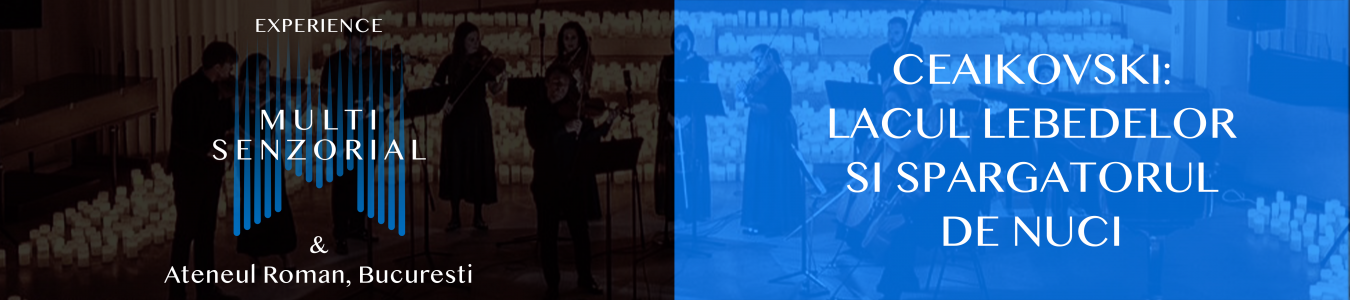 Multisenzorial Ceaikovski: Lacul lebedelor si Spargatorul de nuci