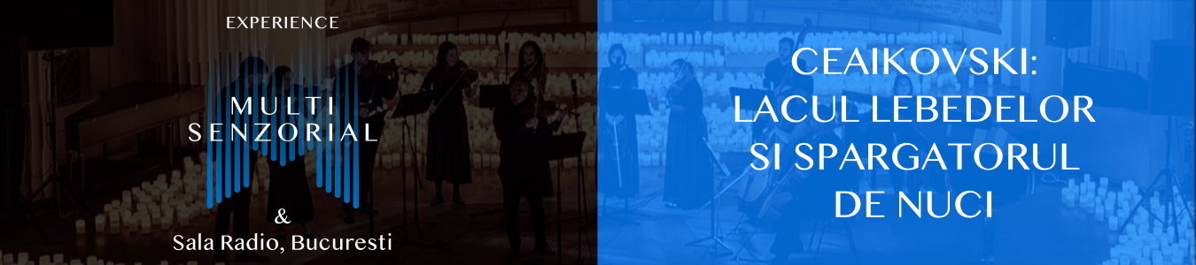 Multisenzorial Ceaikovski: Lacul lebedelor si Spargatorul de nuci