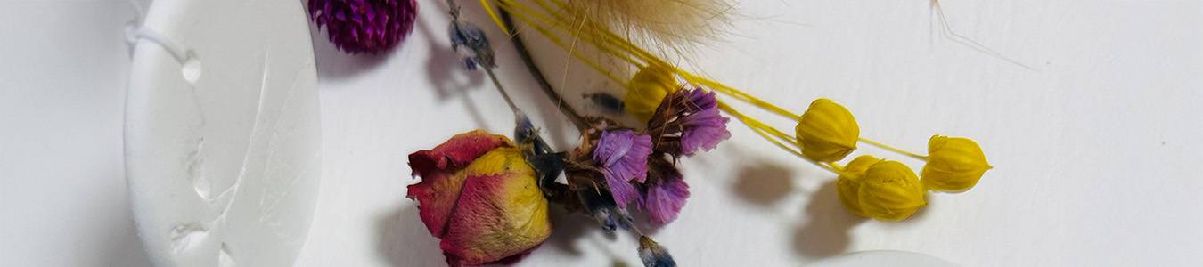 ARTA IMPRIMARII PLANTELOR -  ATELIER CREATIV