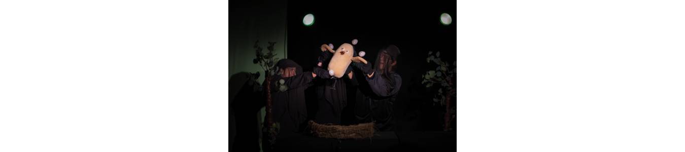 Țup, imposibil e doar un cuvânt