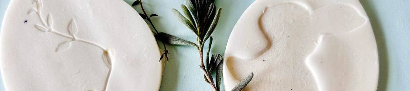 ARTA IMPRIMARII PLANTELOR: PATRULA IEPURASILOR VINE LA TIC – ATELIER CREATIV